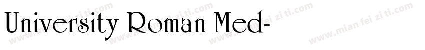 University Roman Med字体转换